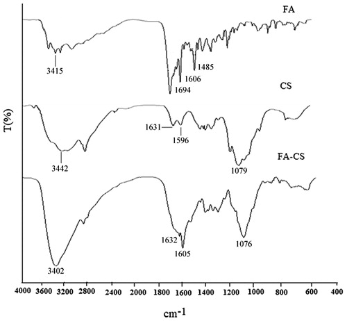 Figure 3. FT-IR spectra of FA, CS and FA–CS conjugates.