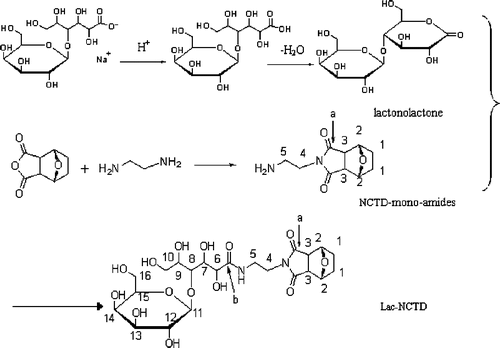 Figure 1. The synthesis route of Lac-NCTD.