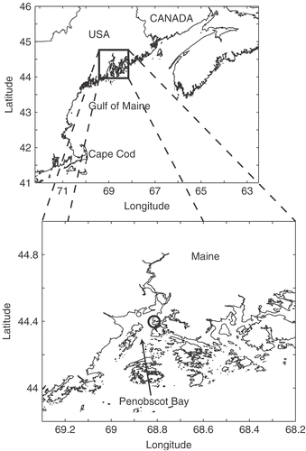 Fig. 1. Sampling location within the Gulf of Maine. The inset shows Penobscot Bay and Wadsworth Cove (circle).