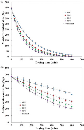 Figure 1. Changes in (a) moisture and (b) anthocyanin content of SPFP during hot air drying and predicted data.Figura 1. Cambios en (A) humedad y (B) cantidad de antocianina contenida en la PPMV durante el secado con aire caliente y datos pronosticados.