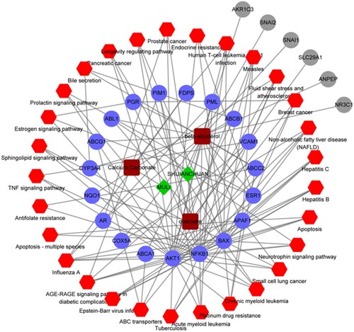 Figure 5. Pharmacological network. Green diamonds represent herbs, brown squares represent compounds, blue dots represent target genes, red hexagons represent the KEGG pathways, and gray dots represent the targets that are not involved in the pathways.