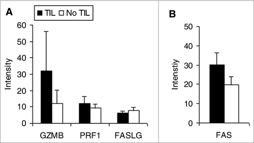 Figure 4. Transcriptional analysis of mediators of lymphocyte cytotoxicity in uveal melanoma patient samples. Expression intensity of the transcripts of mediators of lymphocyte cytotoxicity of uveal melanomas with tumor-infiltrating lymphocytes (TILs; n = 27) compared to tumors without (n = 30). RNA was extracted from tumor specimens and gene expression profiling performed using Illumina Sentrix 8 BeadChip arrays. Bars represent the mean ± SEM. Statistical analysis was performed using a 2-sided Student's t tests after log transformation and the P-values were adjusted for multiple testing according to the methods of Benjamini and Hochberg; P-values were >0 .05 for all comparisons.