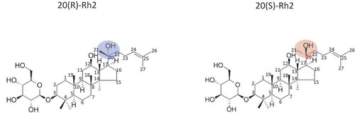 Figure 1. Chemical structures of the ginsenosides 20 (S)-Rh2 and 20 (R)-Rh2.Figura 1. Estructuras químicas de los ginsenósidos 20 (S)-Rh2 y 20 (R)-Rh2.