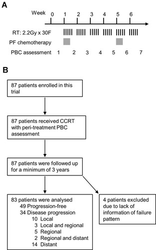 Figure 1 Treatment scheme and outline of the trial. The treatment scheme and timing of peripheral blood cell (PBC) assessments are shown in (A). The trial is summarized in (B).