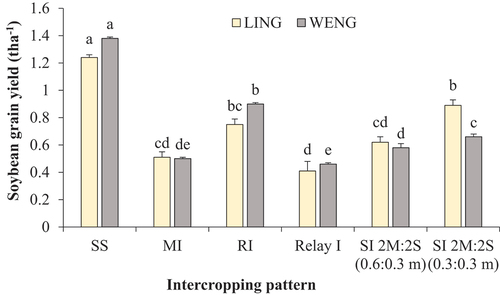 Figure 7. Grain yield of soybean under different maize-soybean intercropping patterns. Within each location, values followed by different lower-case alphabetical letter represent significant differences between treatments at 5% significance level. Error bars indicate the standard error of three replicates. LING; Lingmethang, WENG; wengkhar, SS: sole soybean, MI; mixed intercropping, RI; row intercropping, relay I; relay intercropping, SI 2 M:2S (0.6:0.3 m): strip intercropping with two rows of maize alternating with two rows of soybean at 0.60-m row spacing and 0.30-m plant spacing and SI 2 M:2S (0.3:0.3 m): strip intercropping with two rows of maize alternating with two rows of soybean at 0.30-m row spacing and 0.30-m plant spacing.
