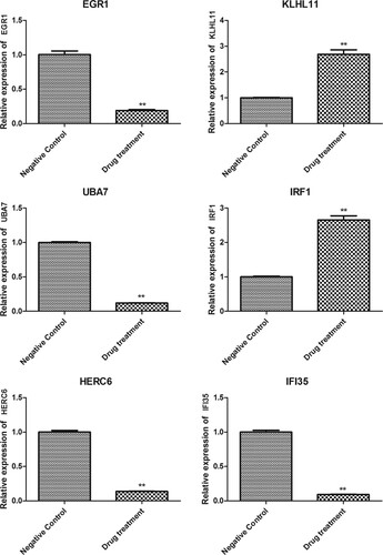 Figure 6. The expression of DEGs determined by RT-qPCR. The expression of EGR1, KLHL11, UBA7, IRF1, HERC6, and IFI35 in HT-29 cells (negative control) and FZXJP-treated HT-29 cells (drug treatment). **P < 0.01, compared with negative control.