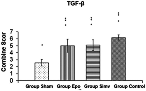 Figure 2. The effect of Epo and Simv on TGF-β Expression. *p < 0.01 group sham versus group Epo, group Simv and group control, **p < 0.01 group control versus group Epo and group Simv.