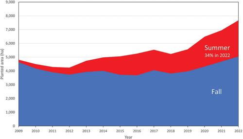 Figure 4. Stacked line chart showing the change in the proportion of fall- and summer-planted strawberries in the Santa Maria district from Citation2009 – 2022.