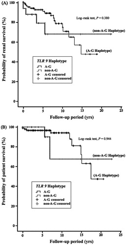 Figure 1. Renal and patient survival: Log-rank tests were used to analyze (A) renal and (B) patient survival in 134 MGN patients with and without the A–G haplotype of the TLR9 gene.