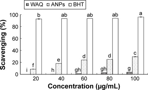 Figure 11 ABTS radical scavenging potential of ANPs.Note: Different superscript letters indicate significant differences in the mean at P<0.05.Abbreviations: ABTS, 2,2′-azino-bis(3-ethylbenzothiazoline-6-sulphonic acid); ANPs, gold nanoparticles; BHT, butylated hydroxyl toluene; WAQ, watermelon aqueous extract.