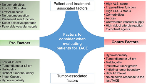 Figure 4 Factors to be considered when evaluating patients for TACE.