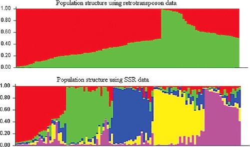 Figure 2. Population structure of 106 sunflower genotypes based on retrotransposon (IRAP + REMAP) and SSR data (Structure 2.3.4).