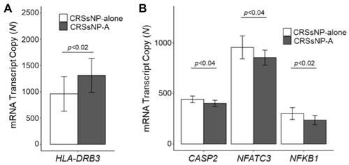 Figure 1 Genetic transcriptional changes in peripheral blood favor a type 2 inflammatory profile among patients with CRSsNP-A compared to CRSsNP. (A) HLA-DRB3 is significantly upregulated in CRSsNP-A compared to CRSsNP (Th2, p<0.02). (B) CASP2 (Th2, p<0.04), NFATC3 (Th2, p<0.04), and NFKB1 (Th2, p<0.02) are downregulated in CRSsNP-A compared to CRSsNP.