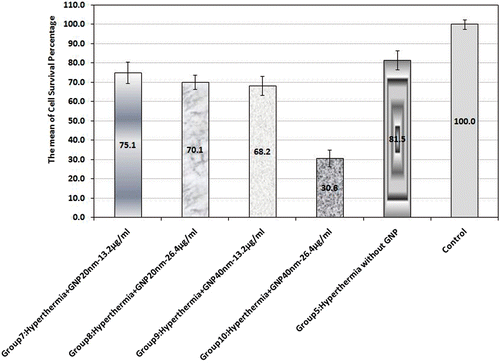 Figure 3. Cell survival percentage based on MTT assay 48 h after hyperthermia in the presence of 20 nm and 40 nm GNPs at 13.2 and 26.4 µg/mL concentrations; also in their absence. Cell incubation time with GNPs was 40 min and MW exposure time was selected as 50 s. The data represent mean ± SD of the three performed experiments.