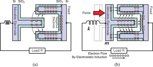 Figure 10. Detailed view of the electrostatic induction type VDRG. (a) The surface of the fixed electrode is coated with a negatively charged silicon oxide. The charges are bound with the positive charge at the silicon oxide/silicon interface at the rest position. (b) When the movable electrode is inserted into the fixed ones, the electrical flux between the negative and positive charges are rearranged in part, and the released electrons flow out, thereby converting the mechanical work into the electrical energy.