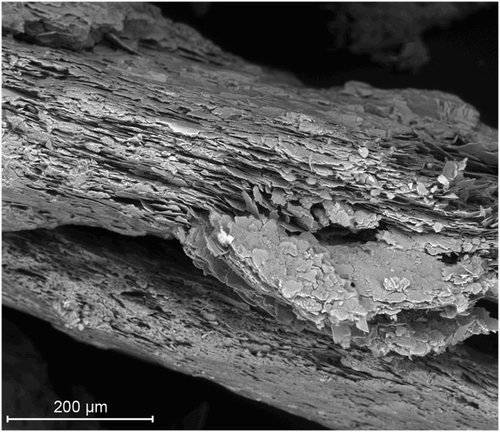 Figure 3. Scanning electron microscopy image of weathered mica schist rock fragments in river sediment material (fraction 2–500 µm).