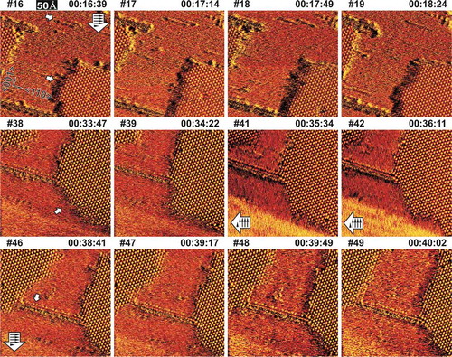 Figure 4. Time-elapsed scanning tunneling microscopic images of the boxed region in Figure 3(b). The scanning speed was about 35 s per frame. Surface conditions were the same as in Figure 2. Large arrows indicate the direction of the scan progression; small inserted arrows indicate the direction of the tip scan.