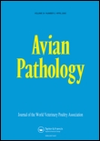 Cover image for Avian Pathology, Volume 34, Issue 4, 2005