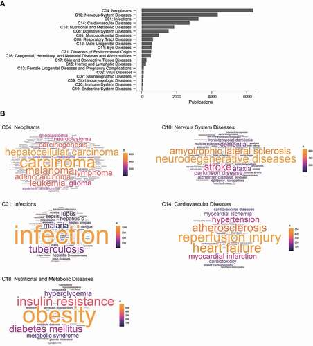 Figure 7. The frequency of MeSH disease descriptors in autophagy research field. (A) The ranking of the subcategories of MeSH Category C (“Disease”). (B) Wordclouds of the top 50 MeSH descriptors of each of the top 5 disease types. (See Data S7.).