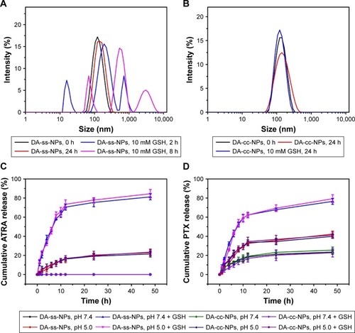 Figure 2 Size changes in DA-ss-NPs (A) and DA-cc-NPs (B) after incubating with or without GSH. Cumulative release of ATRA (C) and PTX (D) at pH 7.4 or 5.0 with or without GSH (mean±SD, n=3).Abbreviations: GSH, glutathione; ATRA, all-trans-retinoic acid; PTX, paclitaxel.