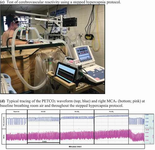 Figure 1. (Continued)