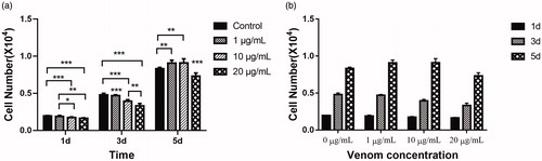 Figure 1. Cell proliferation analysis on days 1, 3 and 5 of neural progenitor C17.2 cells cultured in proliferation culture medium with three different venom concentrations. Effect of crude venom concentration (a) and incubation time (b).Note: Mean values; error bars represent ± SD (n = 6). *P < 0.05, **P < 0.01, ***P < 0.001.