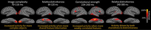 Figure 2. Modulation of object processing by visual and semantic feature-based statistics over time. Data show rapid visual and shared semantic-feature effects before later effects of both shared and distinctive semantic features. Redrawn from Clarke et al. (Citation2013).