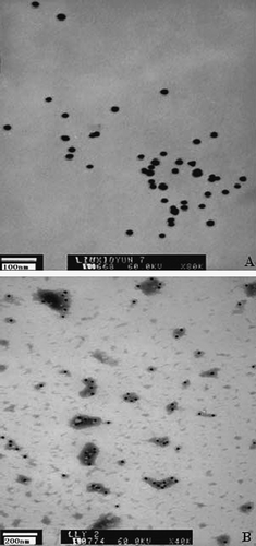 Figure 3.  Colloidal gold particles (A, bar = 100 nm) and colloidal gold-labelled antibody (B, bar = 200 nm) under eletronic microscope.
