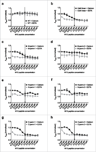 Figure 5. Evaluation of the specific M13 peptide dependent decrease of binding signal by titration ELISA. The binding behavior of 0.1 µM D1.3 scFv on lysozyme coated plates as a function of increasing concentrations of M13 peptide was monitored in calcium-containing buffer (empty diamonds) and buffer with EDTA (filled squares). The saturation point (molar ratio 1:1 of M13 peptide:scFv) is indicated by arrows. Absorbance was measured and normalized, where the signal obtained in the calcium-containing buffer without M13 peptide was set to 100%. The mean results with range (indicated by error bars) of 3 independent experiments (n = 3) are shown. Abbreviations, WT: D1.3 scFv with (G4S)3-linker (control) (a); CaM linear: D1.3 scFv with linearly cloned calmodulin-linker (b); M/N/C-perm-1/2: D1.3 scFv with permutated calmodulin-linker (c-h).