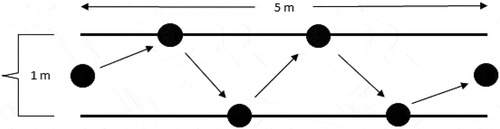 Figure 1. Six-spot step test (SSST).The test starts with the person to be tested standing in the start circle at the end line of the field. A wooden block is placed in the center of each of the remaining circles. The person criss-crosses from one circle to the next and shoves the blocks out of the circles. One leg is used for shoving all the blocks during one walk. The test is then repeated with the other leg shoving the blocks. The test is performed twice for each leg.