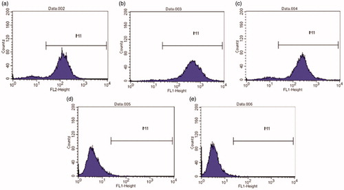 Figure 2. Flow cytometry histogram of (a) CD105, (b) CD90, (c) CD44, (d) CD45 and (e) CD34-labeled P1 pTGSCs (obtained by FACSCalibur).