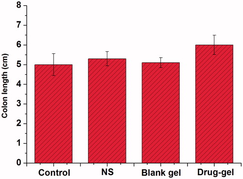Figure 5. Determination of colon length after final drug administration for n = 10 mice. Data are shown as mean ± S.D.