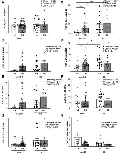 Figure 1 The increased gene expression levels of different components of the inflammasome in visceral adipose tissue (VAT) due to both, obesity and colon cancer (CC) suggest that obesity-associated VAT inflammation create a microenvironment favourable for CC development. Bar graphs show the mRNA levels of (A) NLRP1, (B) NLRP3, (C) NLRP6, (D) ASC, (E) IL1B and (F) IL18 (G) NOD2 and (H) ADIPOQ in VAT from lean subjects (LN) and volunteers with obesity (OB) classified according the presence or absence of CC. Bars represent the mean ± SEM. Differences between groups were analyzed by two-way ANOVA or one-way ANOVA followed by Tukey’s tests as appropriate. *P<0.05, **P<0.01 and ***P<0.01. (LN non CC: n=11; OB non CC: n= 34; LN CC: n=16; OB CC: n= 8). Bold values denote statistically significant P values.