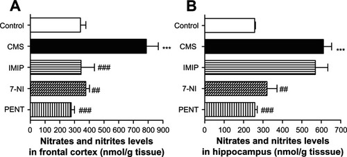 Figure 4 Effects of chronic mild stress (CMS) and treatments with imipramine (IMIP), 7-nitroindazole (7-NI), and pentoxifylline (PENT) on changes of nitric oxide metabolites (nitrates/nitrites, nmol/g tissue) in frontal cortex (A) and hippocampus (B) homogenates.