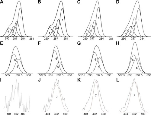 Figure 3 X-ray photoelectron spectroscopy analysis of POs modified with various ligands.Notes: Carbon C1s envelopes: (A) POs, (B) Tf-POs, (C) Tet-1-POs, and (D) Tf/Tet-1-POs. Oxygen O1s envelopes: (E) POs, (F) Tf-POs, (G) Tet-1-POs, and (H) Tf/Tet-1-POs. Nitrogen envelopes: (I) POs, (J) Tf-POs, (K) Tet-1-POs, and (L) Tf/Tet-1-POs. The peaks at binding energies of 281–307 eV, 527–545 eV, and 398–414 eV were ascribed to the elements C1s, O1s, and N1s, respectively. The XPS survey scans were elucidated. The curve fitting results showed that the C1s regions could be presented by four peaks (A–D), of which the peak 1 signal represented C-C/C-H (285.1 eV), the peak 2 signal represented C-O-C (286.4 eV), the peak 3 signal represented O=C-C*(-C)-O (287.6 eV), and peak 4 signal that corresponded to O-C=O (289.1 eV), respectively. The O1s regions could be presented by peak signals that corresponded to O=C (peak 5, 532.6 eV) and O–C (peak 6, 533.4 eV) (E–H). The N1s generated in Tf-POs, Tet-1-POs, and Tf/Tet-1-POs could be corresponded to peak 7.Abbreviations: POs, polymersomes; Tf, transferrin.