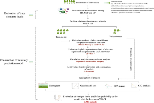 Figure 1 The protocol of the whole study.