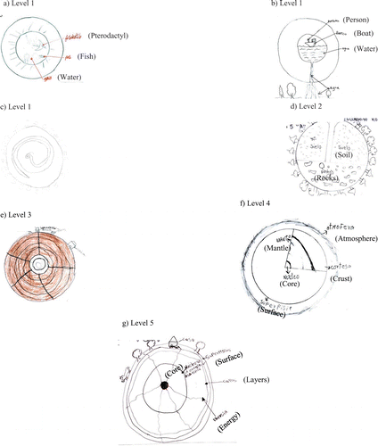 FIGURE 1: Examples of student drawings from each of the five Levels. (a)–(c) Level 1. (d) Level 2. (e) Level 3. (f) Level 4. (g) Level 5.