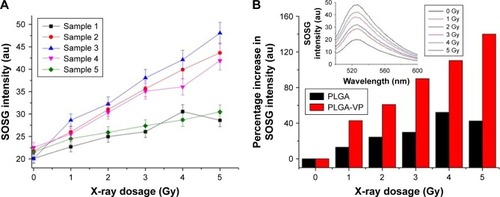 Figure 2 Single oxygen detection.Notes: (A) Variation of SOSG intensity as a function of X-ray dose for different samples. (B) Comparison between the percentage increase in SOSG intensity of PLGA and PLGA-VP in the selected sample (sample 3). Inset shows the increase in fluorescence of SOSG for different radiation doses for PLGA-VP NPs (sample 3).Abbreviations: NPs, nanoparticles; PLGA, poly(D,L-lactide-co-glycolic acid); SOSG, singlet oxygen sensor green; VP, verteporfin.