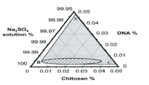 Figure 3 Ternary phase diagram of complex coacervation between pRE-luciferase plasmid and chitosan at 55°C in 50 mM Na2SO4. Sodium sulfate solution was regarded as one component, since the concentration change in the experiment range was minimal. The region to the right of line ABC depicts the conditions under which phase separation occurred. The concentration ranges in the small grid area yielded distinct particles as observed under a phase contrast microscope. Reprinted from CitationMao H-Q, Roy K, Troung-Le VL, et al. 2001. Chitosan-DNA nanoparticles as gene carriers: synthesis, characterization and transfection efficiency. J Control Release, 70:399–421. Copyright © 2001, with permission from Elsevier.
