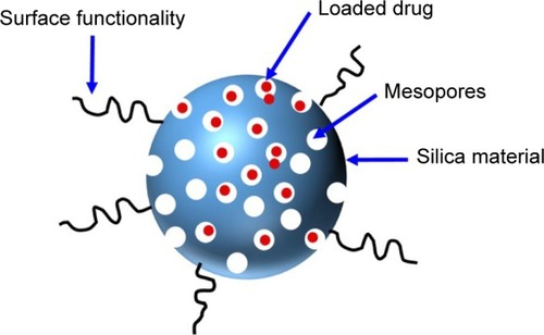 Figure 8 Schematics of MSNs.Abbreviation: MSN, mesoporous silica nanoparticle.
