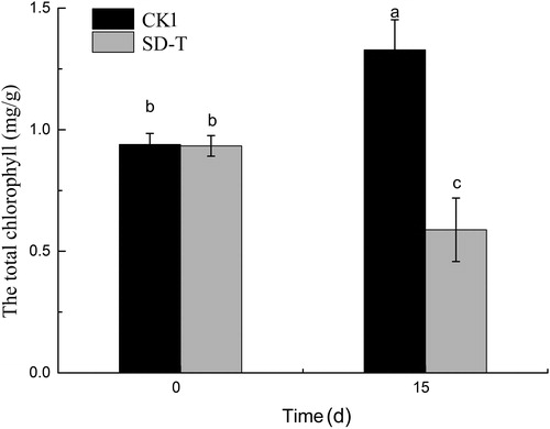 Figure 1. Effects of SA on the total chlorophyll in leaves of V. natans. Data are shown as mean ± SD (n = 4); different letters represent significant difference at p < 0.05.