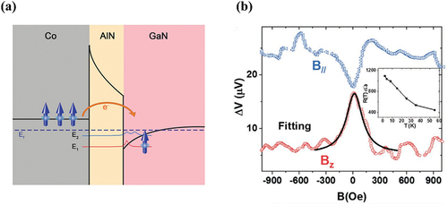 Figure 9. (a) Illustration of electron spin injection with Co/AlN/GaN structure. Ef refers to Fermi level. E1 and E2 are schematic wave functions of the two sub-bands existing in the AlN/GaN heterostructure. (b) Three-terminal magnetoresistance under a magnetic field perpendicular and parallel to the surface at 55 K with AC 0.3 mA. Inset shows zero-bias resistance as a function of temperature of one junction [Citation98].