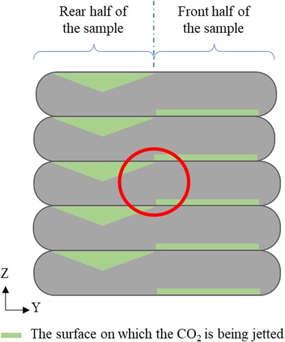 Figure 6. Schematic drawing of the sample cross-section for all carbon cured samples. The green lines represent the where the CO2 was jetted during printing. The red circle represents where the sampling was taken for TGA test.