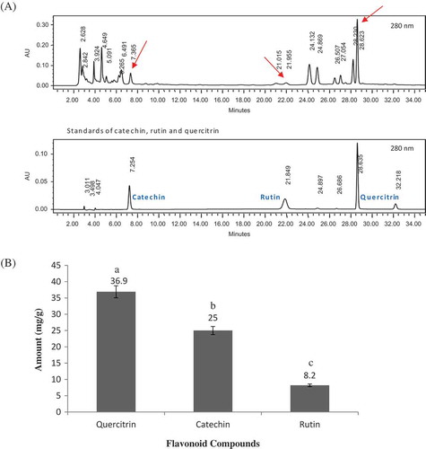 Figure 2. A: HPLC chromatograms of standards versus UREX (at wavelength of 280 nm); B: Quantified constituents of UREX: Average amount (in mg/g of UREX). Error bars indicate mean values ± standard deviation of three replicates. Different letters on top of each bar indicate significant different (p < 0.05) from other bars.