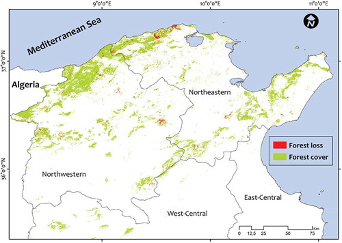 Figure 1. Map showing the forest loss in the northern Tunisia for the period 2000–2014.