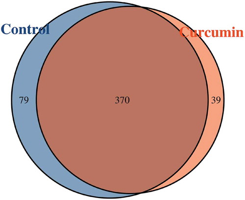 Figure 1. Venn diagram of the shared operational taxonomic units in the curcumin-treated and control groups.