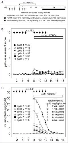 Figure 1. Treatment schematic, pain assessment and intravenous morphine usage during LTI of ch14.18/CHO. A) Ch14.18/CHO was administered by LTI of 100 mg/m2 (d8–17) (horizontal bar) with 6 × 106 IU/m2 s.c. IL-2 (d1–5; 8–12) (black arrows) and p.o. isotretinoin (160 mg/m2/day d22–35). Pain toxicity of anti-GD2 antibody ch14.18/CHO was evaluated by systematic assessments of pain scores and intravenous morphine usage of 49/53 evaluable patients as described in the “Patients and Methods” section. B) Pain assessment scores were determined three times daily per patient and cycle. Data represent mean ± SEM. C) Usage of i.v. morphine in µg/kg/h was determined daily per patient and cycle and presented as mean ± SEM. When error bars are not visible, they are covered by the symbol. Total morphine usage per cycle ± SEM is indicated in mg/kg/cycle.