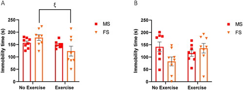 Figure 6. Exercise reduces immobility of female stress mice during a stressor. (A) The TST was conducted on day 30 of UCMS. Stress mice (n = 8 per group) were suspended from their tails from a metal rod for 6 min. The test was video recorded, total immobility time was recorded by three blinded researchers and averages are plotted above. Error bars represent SEM. A two-way ANOVA analysis revealed a significant main effect of exercise (F1, 28= 6.263, p = 0.0184). A Bonferroni post hoc test was then performed, and significant Bonferroni-corrected P values were plotted for exercise “ξ”. One symbol: p ≤ 0.05. (B) The FST was conducted on day 27 of UCMS. Stress mice (n = 8 per group) were individually placed in a plastic cylinder containing 15 cm of water (22–24 °C) for 6 min. The test was video recorded, total immobility time was recorded by three blinded researchers and plotted above. Error bars represent SEM. A two-way ANOVA analysis revealed no significant main effect of sex or exercise, but a significant interaction of exercise × sex was identified (F1, 28= 5.125, p = 0.0315).