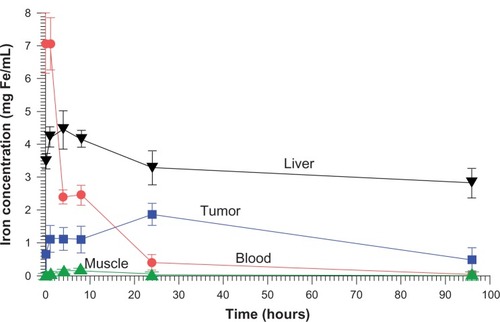 Figure 2 Biodistribution of iron (after subtraction of normal tissue iron) over time.Notes: The maximum iron concentration in the tumor from the points measured was at 24 hours post-injection, reaching 1.9 mg Fe/mL. Time points were: 5 minutes, 1 hour, and 4, 8, 24, and 96 hours.