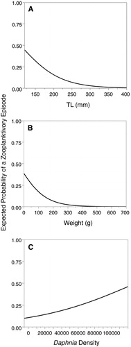Figure 2. Logistic regression estimating the probability of observing episodes of zooplanktivory by LMB as a function of: (A) LMB TL, (B) LMB weight, and (C) Daphnia density per m2.